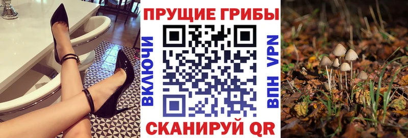 Псилоцибиновые грибы GOLDEN TEACHER  Купить  Красноуфимск 